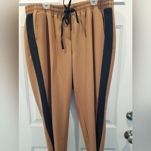 Lane Bryant size 20 pant. Brown with black stripe